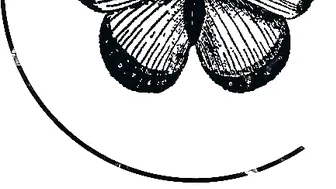 Alissa Noir incest  private