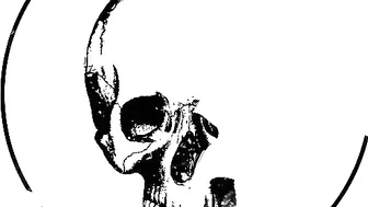 Alissa Noir a dolly shows her chest