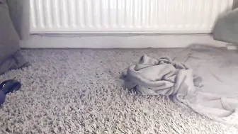 persiangirl69 exquisite slut gets naked and jumps on strap-on