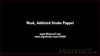 clips4sale Mistress T - weak addicted stroke puppet 720p