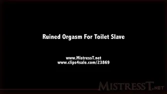 clips4sale Mistress T - ruined orgasm for toilet slave 720p