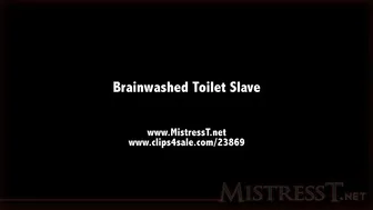 clips4sale Mistress T - brainwashed toilet slave 720p