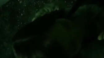 Naughty1Nextdoor nye public sex capade