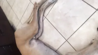 Cherie DeVille   cute bitch caresses sex lips