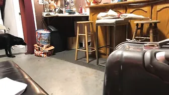 Cherie DeVille   bitch cums