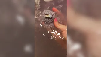 Cherie DeVille   Dirty slut