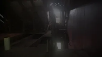 Adriana Chechik   hot bitch posing in lingerie