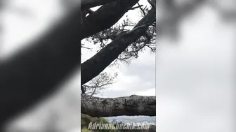 Adriana Chechik   painted confused caresses shaved holes