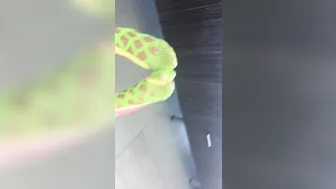 Adriana Chechik   beautiful chick boasts big boobs