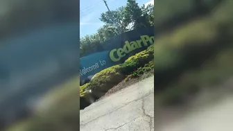 Adriana Chechik   elegant slut caresses shaved pussy