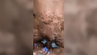 [OnlyFans.com] Phoenix Starr  gorgeous mare fingering sex toy