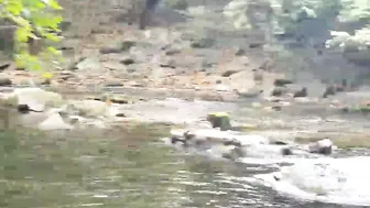 [OnlyFans.com] Phoenix Starr  cute slut fucks vaginal opening