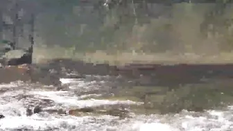 [OnlyFans.com] Phoenix Starr  cute slut fucks vaginal opening