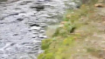 [OnlyFans.com] Phoenix Starr  cute slut fucks vaginal opening