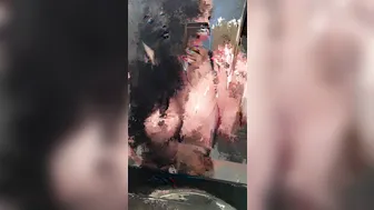 Aletta Ocean videos [OnlyFans.com]  cheeky beauty