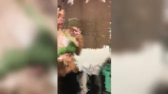 Aletta Ocean videos [OnlyFans.com]  myfreecams January 2020