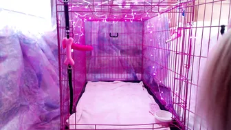 Bambie Doll  hot slut jumping on sex toy
