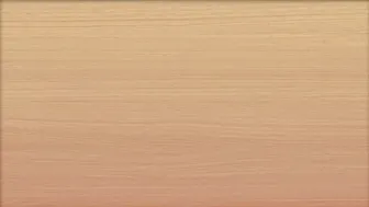 PussycatMoz   Vicious lady