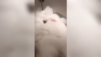 Onlyfans.com Emmazing   graceful dancing with girlfriend