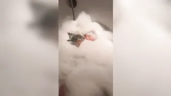 Onlyfans.com Emmazing   graceful dancing with girlfriend