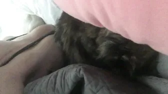 Sophie Dee  1 January 2020