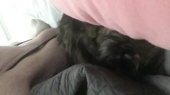 Sophie Dee  1 January 2020