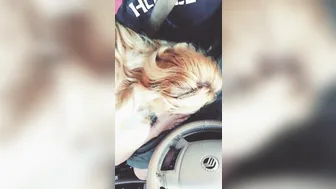 Samantha Rone   beautiful blonde girl shows naked body