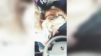 Samantha Rone   beautiful blonde girl shows naked body