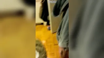 dirtykristy luxury passion wags big booty