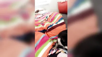 Sophie Dee  luscious babes lick cunt in pose