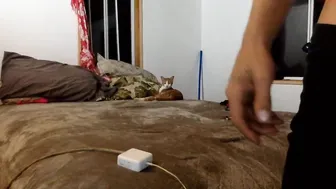 tropical_ass home masturbation