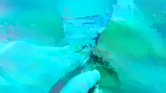 Anissa Kate  sweet coquette flaunts her body