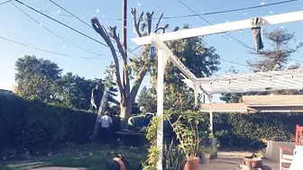 Sophie Dee  Chic Asian