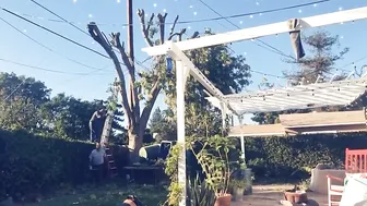 Sophie Dee  Chic Asian