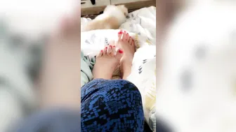 Sophie Dee  cool bitch