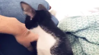 Sophie Dee  Crazy blonde