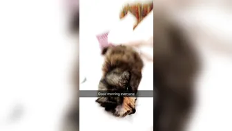 Sophie Dee  busty bitch caresses nipples