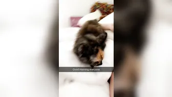 Sophie Dee  busty bitch caresses nipples