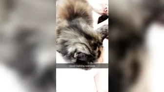 Sophie Dee  busty bitch caresses nipples