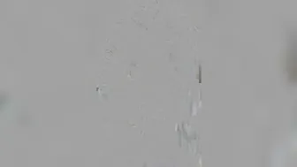 Emma Choice  Russian beauty