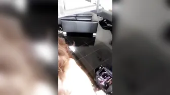 Kendra Lust videos [OnlyFans.com]  Ardent chick