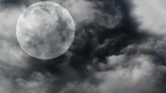 sashaswan  Tattooed baby