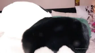 Dotti Pink  Exquisite lady