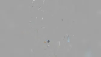 Emma Choice  Showy chick