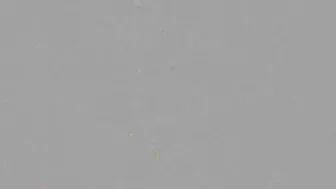 princessberpl manyvids fucks herself with different sized dicks