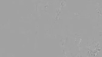 Kiittenymph manyvids Young slut