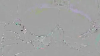 Kiittenymph manyvids Young slut