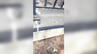 jennifer onlyfans Busty krala