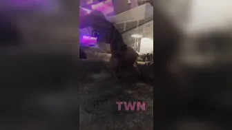 cj miles Insatiable bitch