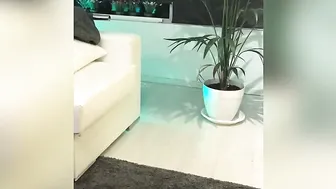 briana banderas cute chicks lick cunt in pose